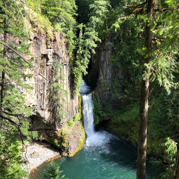 Meet your Posher, Mia - Picture 1 of 1